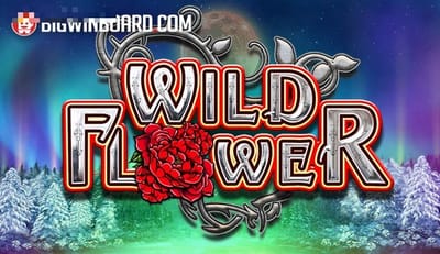 Wild Flower